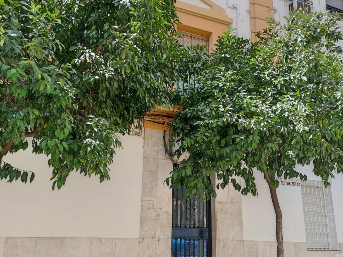 Modernos Apartamentos En Ciudad Jardin Córdoba Exterior foto